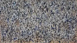 Don't Change Me 83x145-2021-display-2A