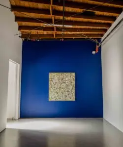 Nicholas-Kontaxis-Catch-Me-UTA-Artist-Space-Beverly-Hills-install-5